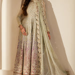 EMBROIDERED CHIFFON WF'25-01
